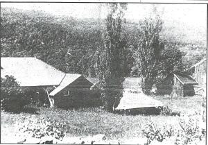 Northern light Joy Farm